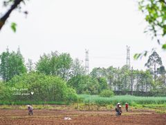 -桤木河湿地公园