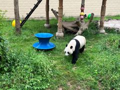 -石家庄市动物园