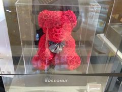 -ROSEONLY诺誓(广州K11店)