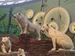 -陕西自然博物馆