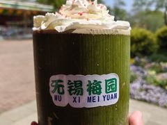 -无锡梅园公园