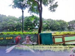 -广州长隆飞鸟乐园