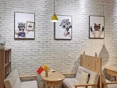 大堂-藏猫猫咖啡主题馆(中央大道店)
