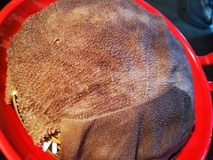 -锅说大脸毛肚重庆老火锅(佐阾店)