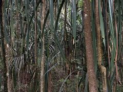 -孔雀湖生态旅游区