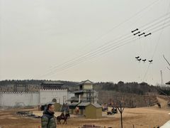 -五龙山野生动物王国