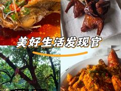 -侨美·唐荔园·40年地道粤菜