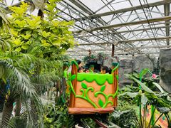 -南宫五洲植物乐园