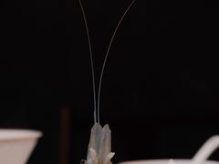 -觀芷隐轩