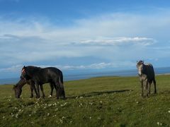 -青海湖国家重点风景名胜区