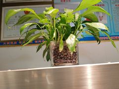 -坤记味道(新华城市广场店)