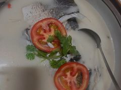 -全乐鱼馆·淳牌有机鱼直营店