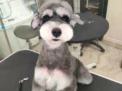-Pets First伊珊娜洗护·精致美容·家庭式寄养(新会路店)