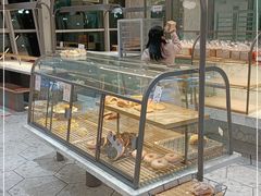 面包甜点陈列柜-面包新语(上地华联店)