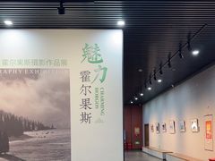 -霍尔果斯国门景区