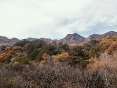-玉渡山自然风景区