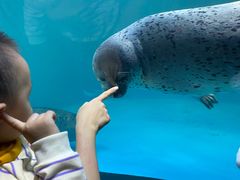 -青岛海底世界-水族馆