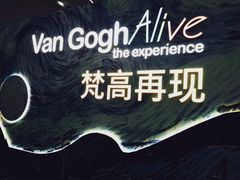 -上海梵高星空艺术馆(南京路旗舰店)