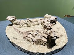 -遇见博物馆(遇见海洋沉浸式奇幻光影展)