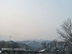-闻道食府烙饼卷带鱼(原车耳营店原大觉寺店)