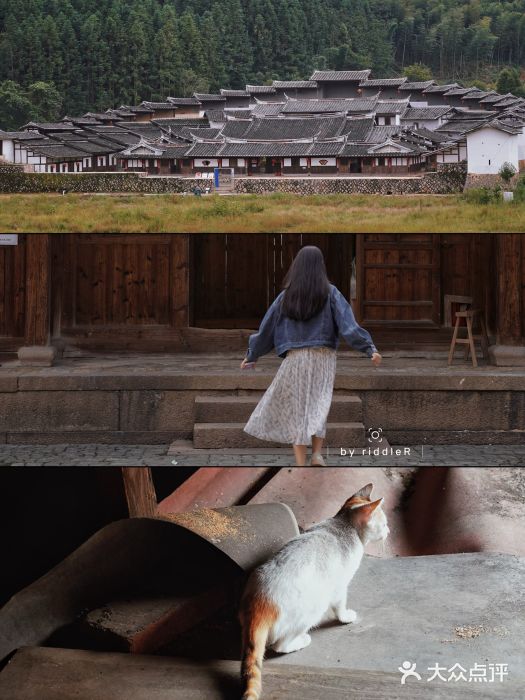 老火车站牛肉粉图片