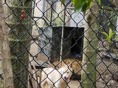 -可伦宾野生动物保护区