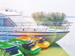 -阅海欢乐岛
