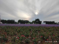 -渔岛海洋度假区