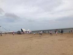 -碧海金沙