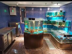 -沈灶河豚宴·河豚融合餐厅(汉中路店)