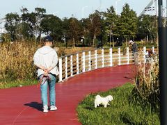 -春花秋色城市公园