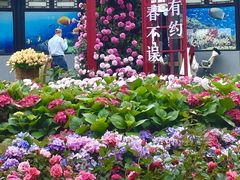 -天目湖山水园