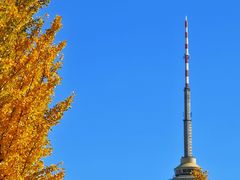 -中央广播电视塔