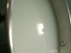 -蚝专家