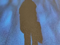 -辽宁古生物博物馆