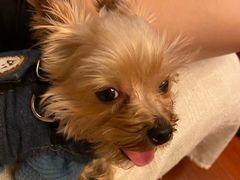 -萌兽医馆·宠物医院·猫骨科(创景店)