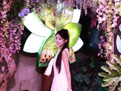 -正佳雨林生态植物园