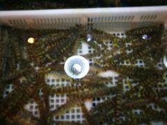 -旺角小渔村(幸福中路店)