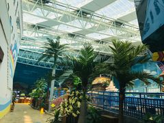 -青岛东方影都融创水世界