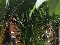 -秦美花卉(天朗·莱茵小城2期店)
