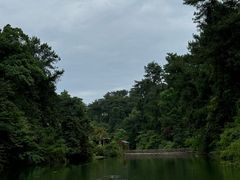 -南山植物园