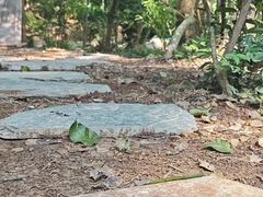 -王阿姨文昌油赞子(府桥街店)