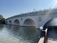 -大湾区中央湿地公园
