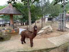 -石家庄市动物园