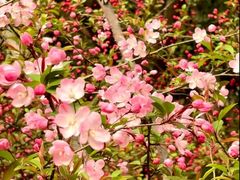 -梁鸿国家湿地公园