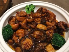 -张生记(丁香国际店)
