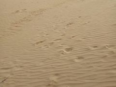 -亿利库布其七星湖沙漠生态旅游区