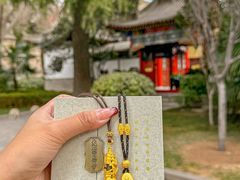 -大慈恩寺(大雁塔)