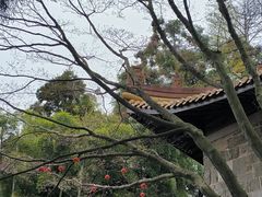 -莫干山风景区