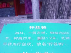 -北京上方山国家森林公园